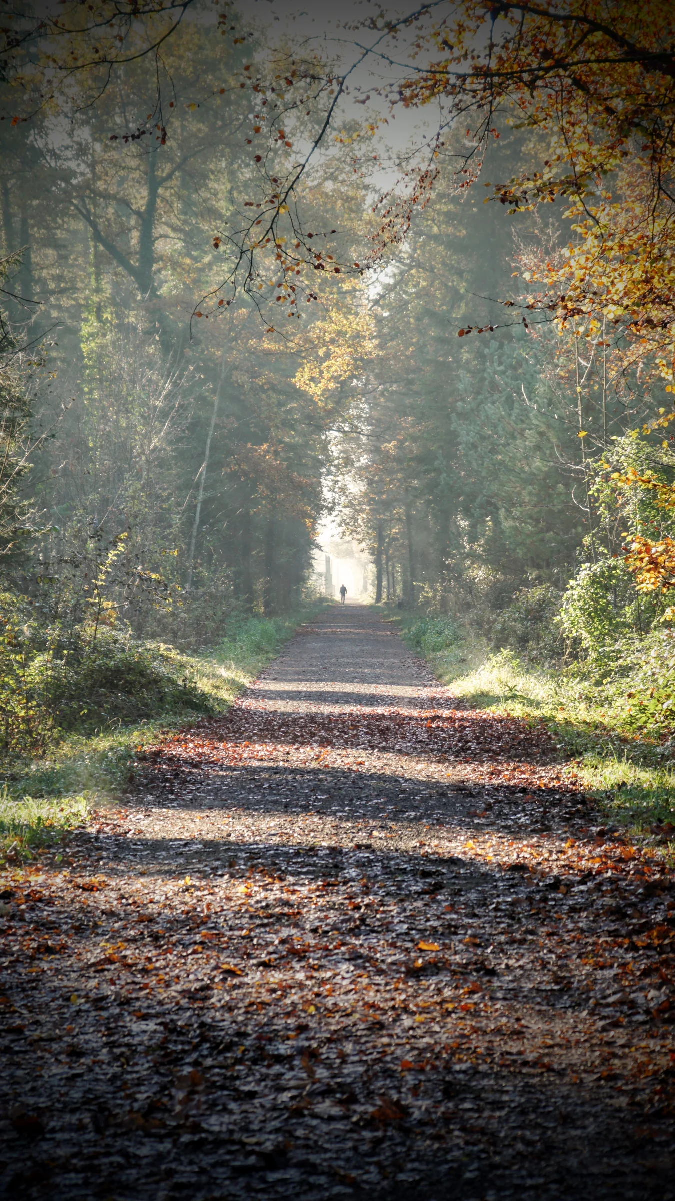 Landschaft – Fotografie 1
