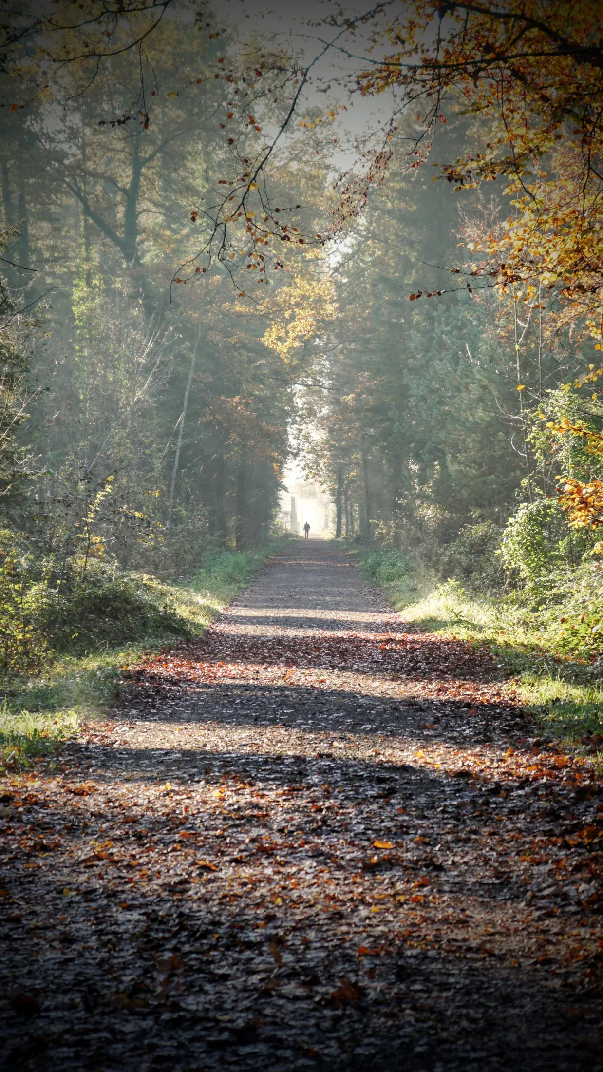 Fotografie