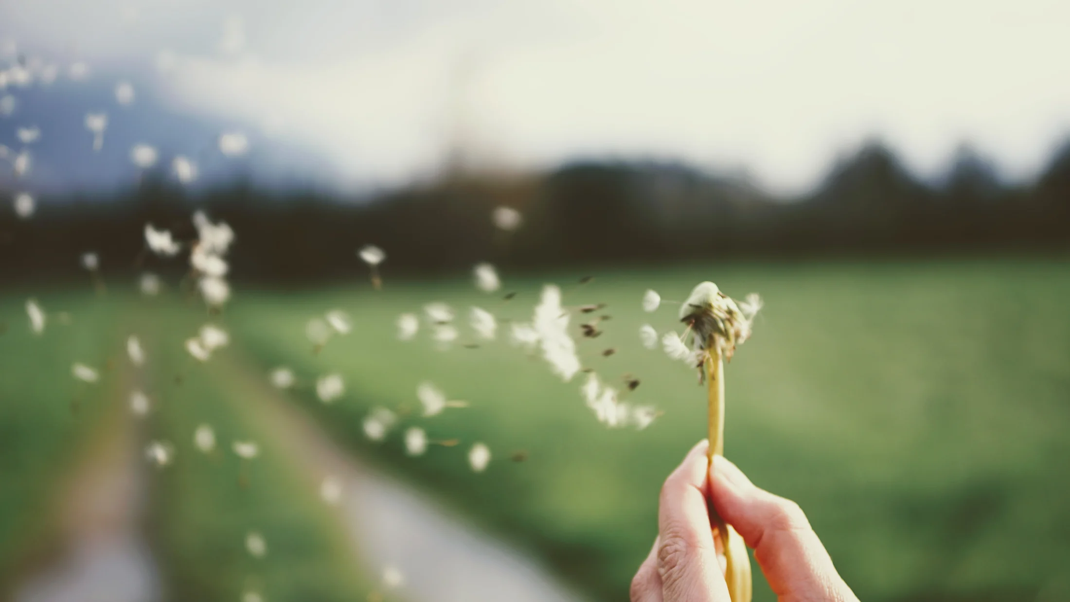 Atmosphärische Fotografie für den Poesiebereich